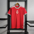 2022 Wales Home Kit