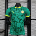 2024/2025 Senegal Away Kit