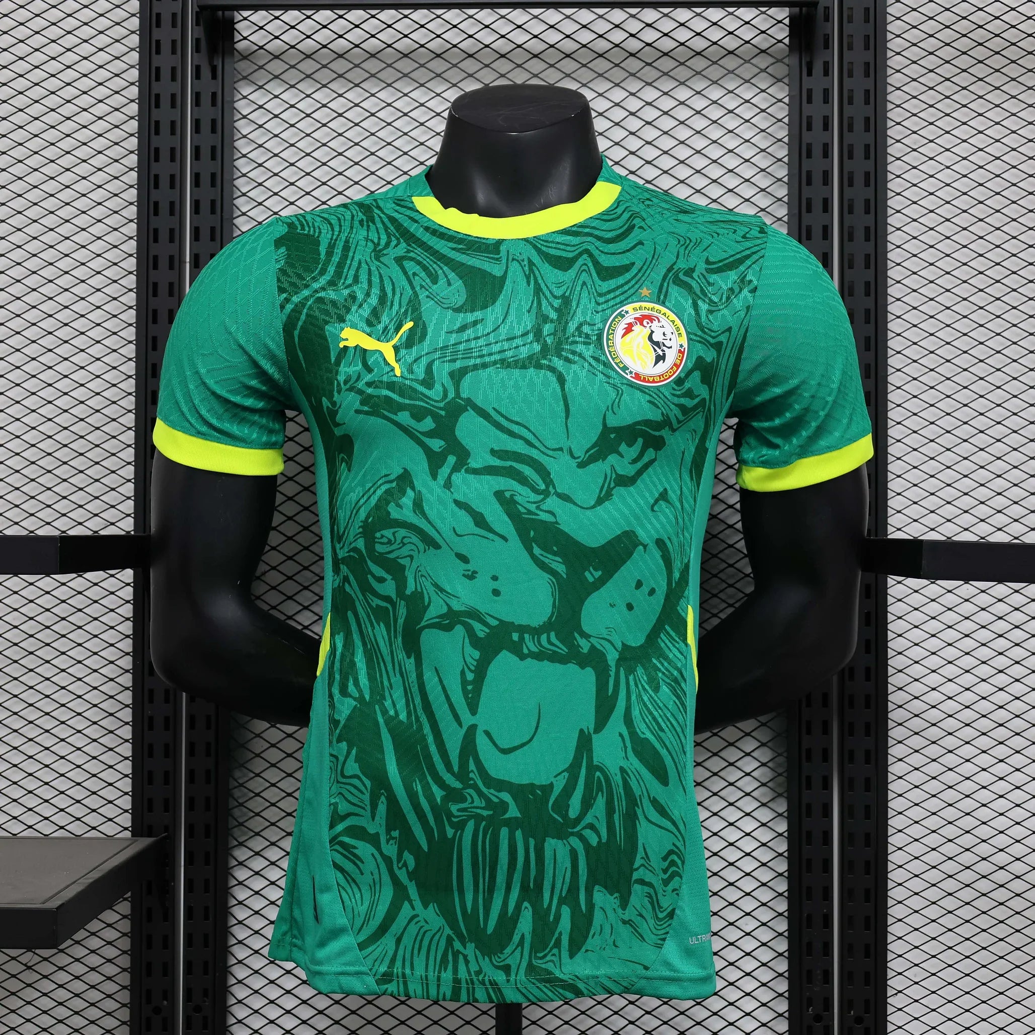 2024/2025 Senegal Away Kit