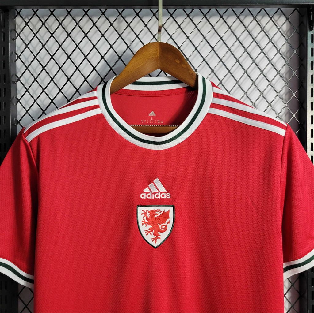 2022 Wales Home Kit