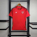 2024 Wales Home Kit